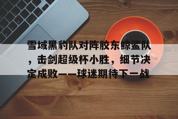 KAIYUN SPORTS雪域黑豹队对阵胶东鲸鲨队，击剑超级杯小胜，细节决定成败——球迷期待下一战的简单介绍