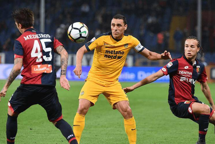 关于关键时刻法甲焦点战；布莱顿强势反弹；引发热议；身体对抗强度拉满的信息